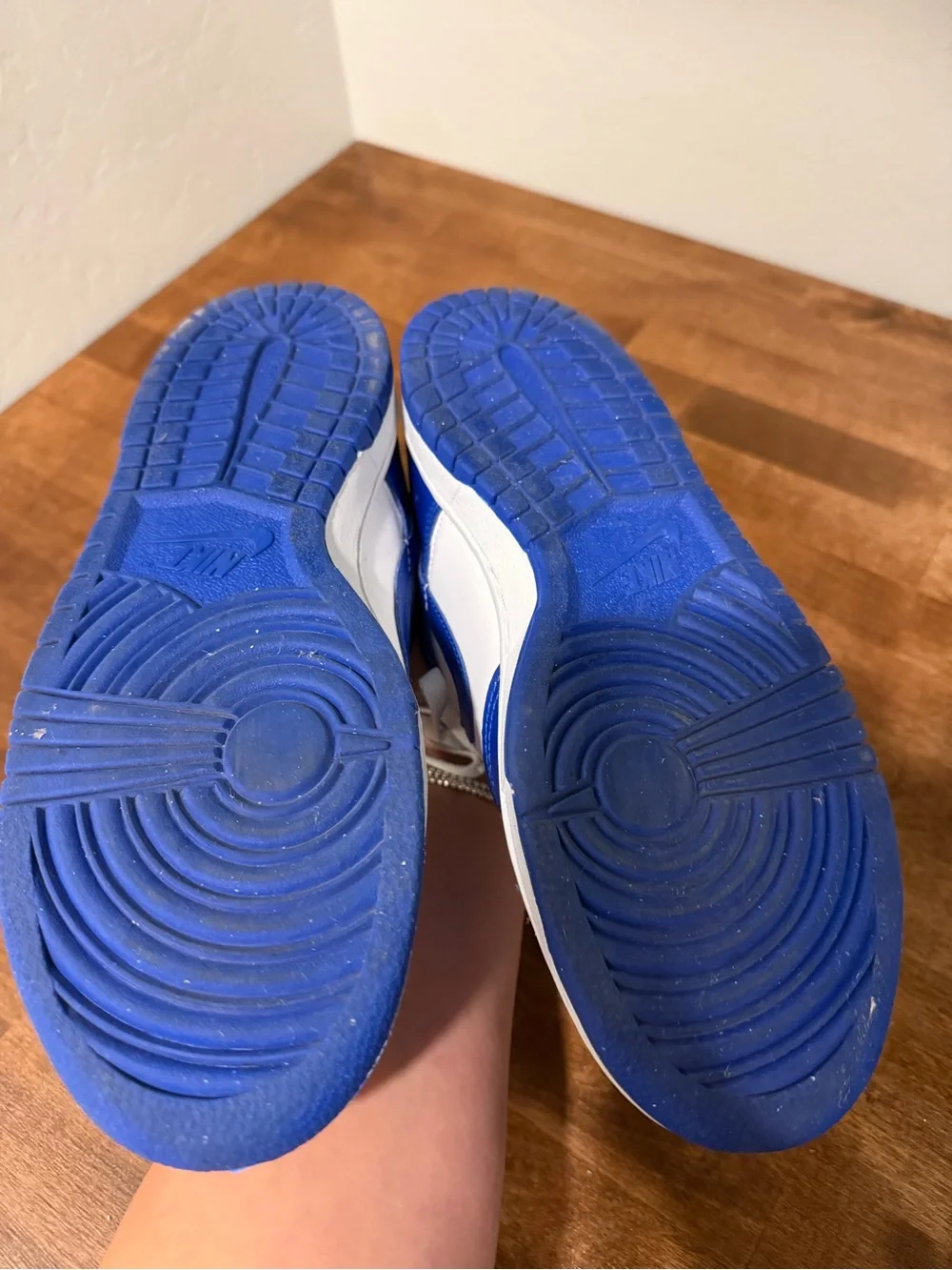 Nike Dunks Kids Low-Top Sneakers in White and Royal Blue (6.5 Y/ 8W)